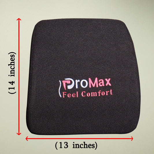 Lumber Support / Spinal Care Cushion