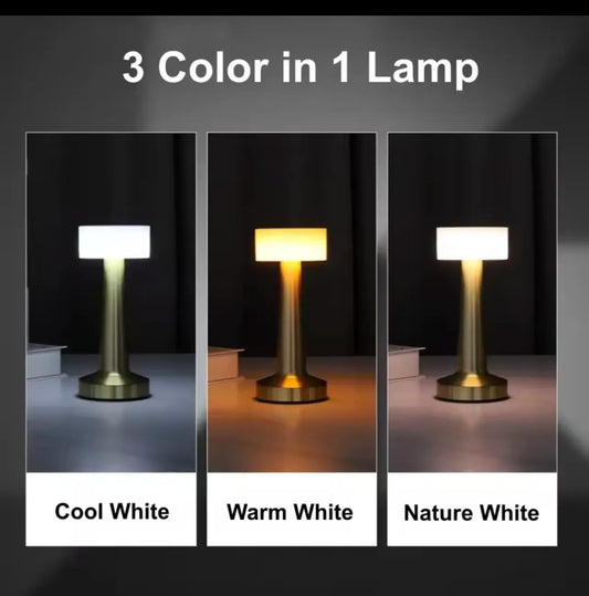 Retro LED Rechargeable Touch Metal Table Lamp – 3-Color Dimmable Night Light
