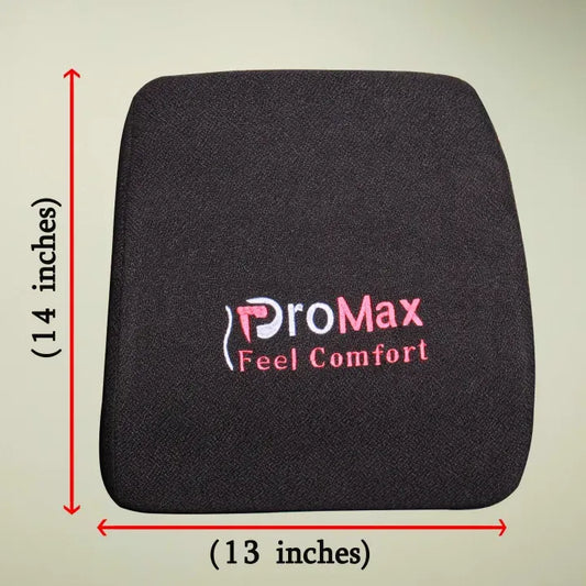 Lumber Support / Spinal Care Cushion